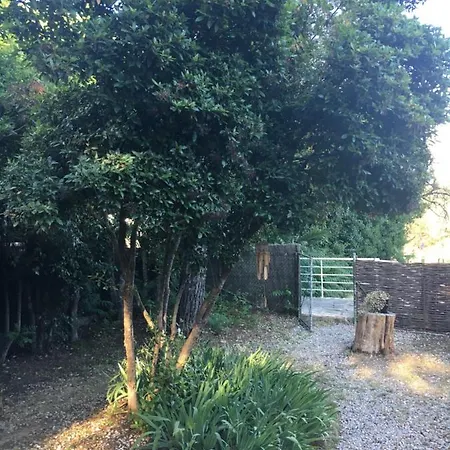 T2 L'escapade Lägenhet La Ciotat